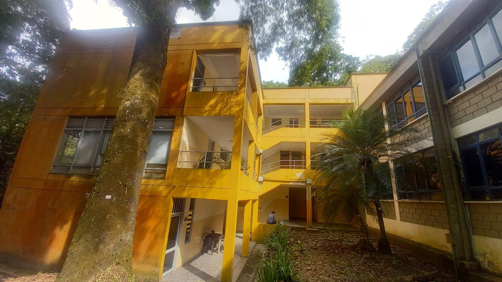 Diseño comercial moderno